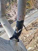 김용대님의 작성글 사진