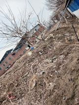 팜모닝 기타작물·영농일지 게시글 이미지