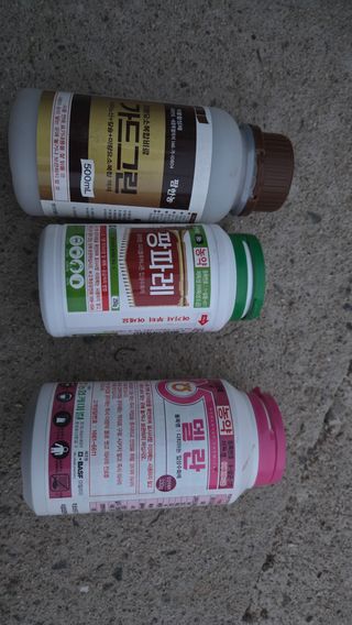 김중달님의 복숭아 · 영농일지 작성글 사진