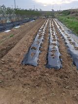 마늘14470님의 작성글 사진