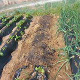 김건우님의 작성글 사진