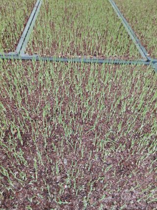 좋은인연원님의 기타작물 · 영농일지 작성글 사진