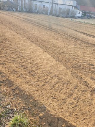 리치리치님의 기타작물 · 영농일지 작성글 사진