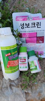 팜모닝 자두·영농일지 게시글 이미지