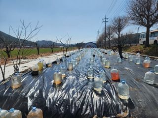 이무하님의 기타작물 · 영농일지 작성글 사진