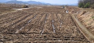 이복길님의 기타작물 · 영농일지 작성글 사진