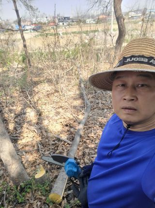 로만아빠님의 기타작물 · 영농일지 작성글 사진