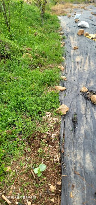 박종화님의 기타작물 · 영농일지 작성글 사진