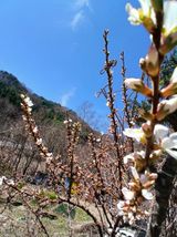 팜모닝 기타작물·영농일지 게시글 이미지