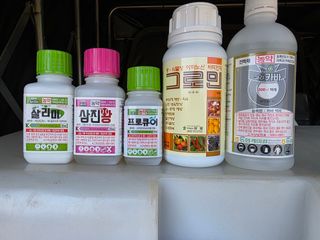 조일성님의 기타작물 · 영농일지 작성글 사진