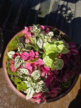 팜모닝 기타작물·영농일지 게시글 이미지