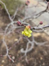 김영순님의 작성글 사진