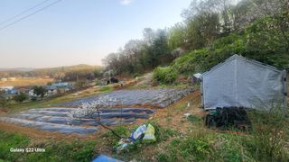 두구락정원님의 기타작물 · 영농일지 작성글 사진