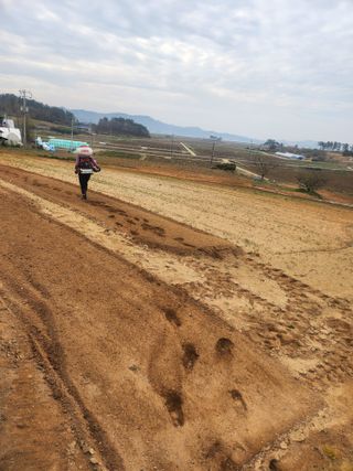 황미순님의 작성글 사진