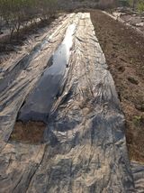 마늘14470님의 작성글 사진