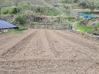 진전님의 작성글 사진