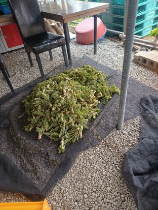 보공(김대호)님의 기타작물 · 영농일지 작성글 사진