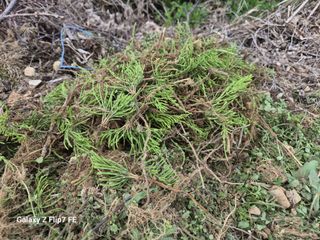 덕포킴님의 기타작물 · 영농일지 작성글 사진