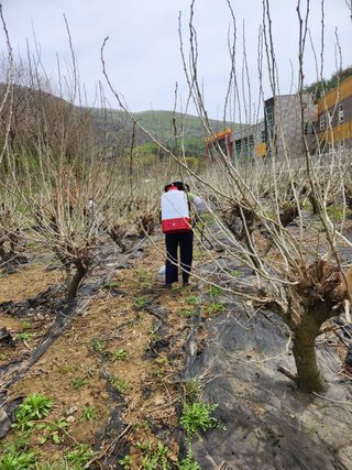 최군환님의 기타작물 · 영농일지 작성글 사진