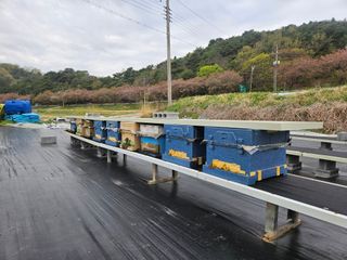 신수철님의 기타작물 · 영농일지 작성글 사진