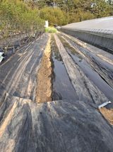 마늘14470님의 작성글 사진