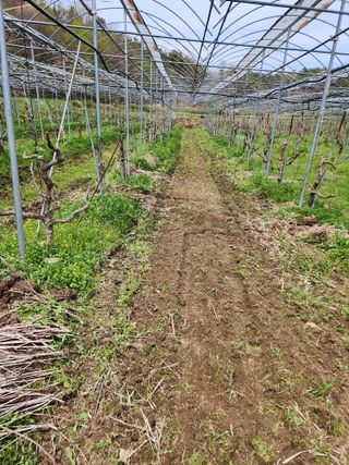 최상길 님의 기타작물 · 영농일지 작성글 사진