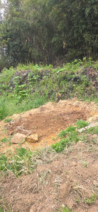 한병훈님의 고추 · 영농일지 작성글 사진