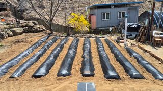 장봉덕님의 기타작물 · 영농일지 작성글 사진