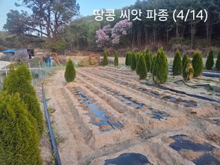 장두학님의 기타작물 · 영농일지 작성글 사진