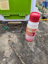 정영석님의 작성글 사진