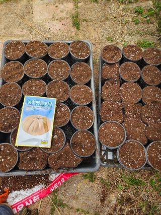 김해열님의 기타작물 · 영농일지 작성글 사진