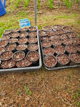 김해열님의 작성글 사진