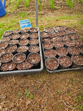 김해열님의 기타작물 · 영농일지 작성글 사진