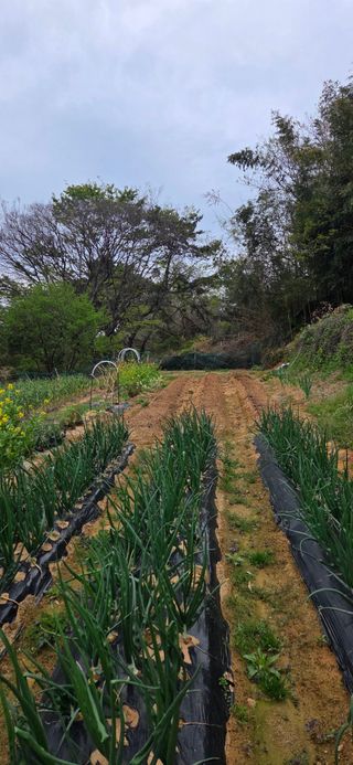 한병훈님의 작성글 사진