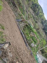 진전님의 작성글 사진