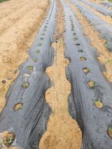 노복우님의 작성글 사진