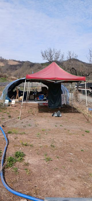 정연섭님의 기타작물 · 영농일지 작성글 사진