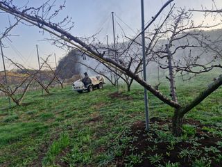 백운농원 님의 기타작물 · 영농일지 작성글 사진