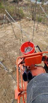 이철님의 작성글 사진