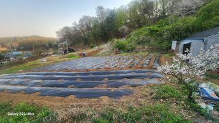 두구락정원님의 기타작물 · 영농일지 작성글 사진