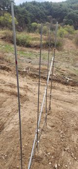 이철님의 작성글 사진