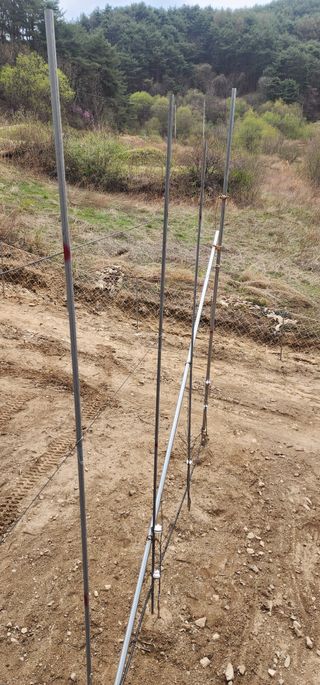 이철님의 기타작물 · 영농일지 작성글 사진