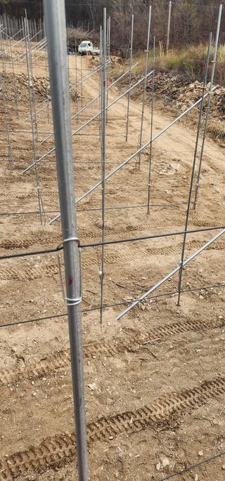 이철님의 기타작물 · 영농일지 작성글 사진