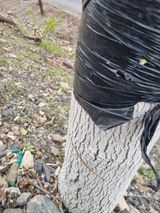 김용대님의 작성글 사진