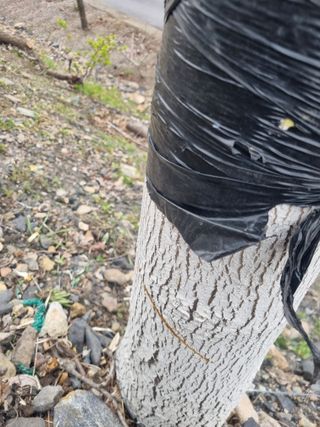 김용대님의 기타작물 · 영농일지 작성글 사진