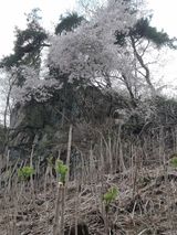 팜모닝회원 정정섭 님의 작성글 사진