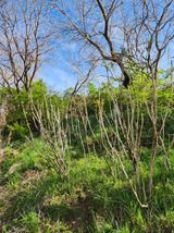 최군환님의 작성글 사진