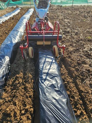 드라곤해드님의 기타작물 · 영농일지 작성글 사진