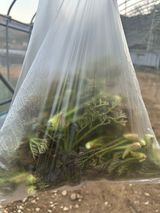 이익수님의 작성글 사진