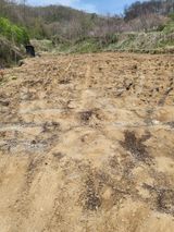 이상욱님의 작성글 사진